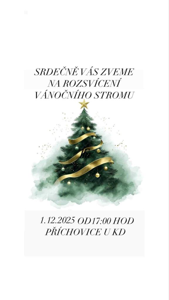 ROZSVÍCENÍ VÁNOČNÍHO STROMU 
