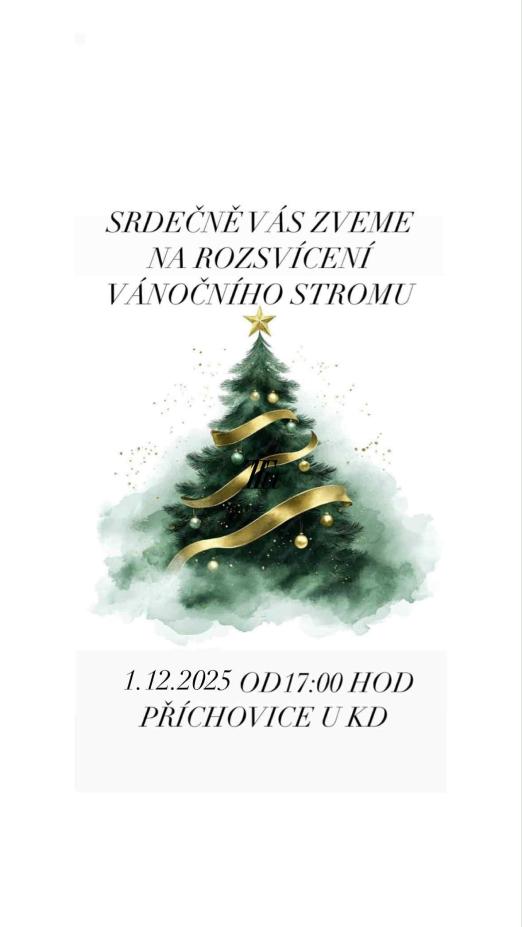 ROZSVÍCENÍ VÁNOČNÍHO STROMU 